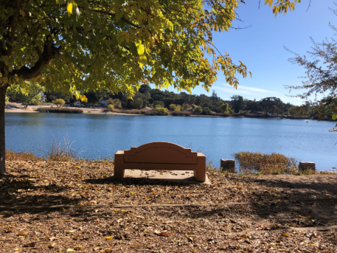 View from Atascadero Lake Park with a bench looking out toward the lake.