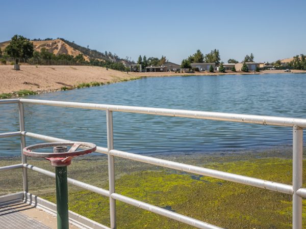 Image of Wastewater Treatment Plant pond