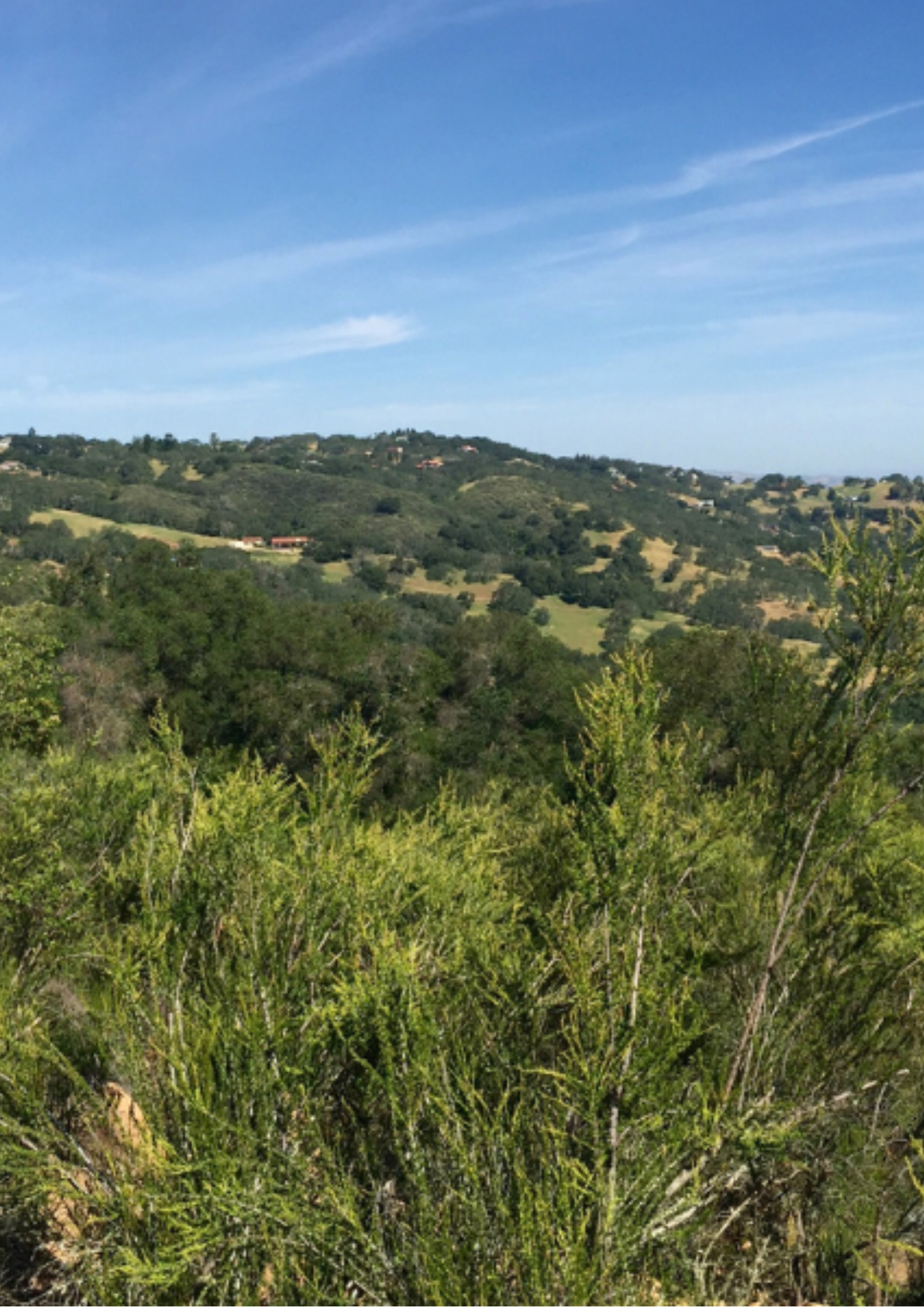 Image of Atascadero hills against a blue sky.