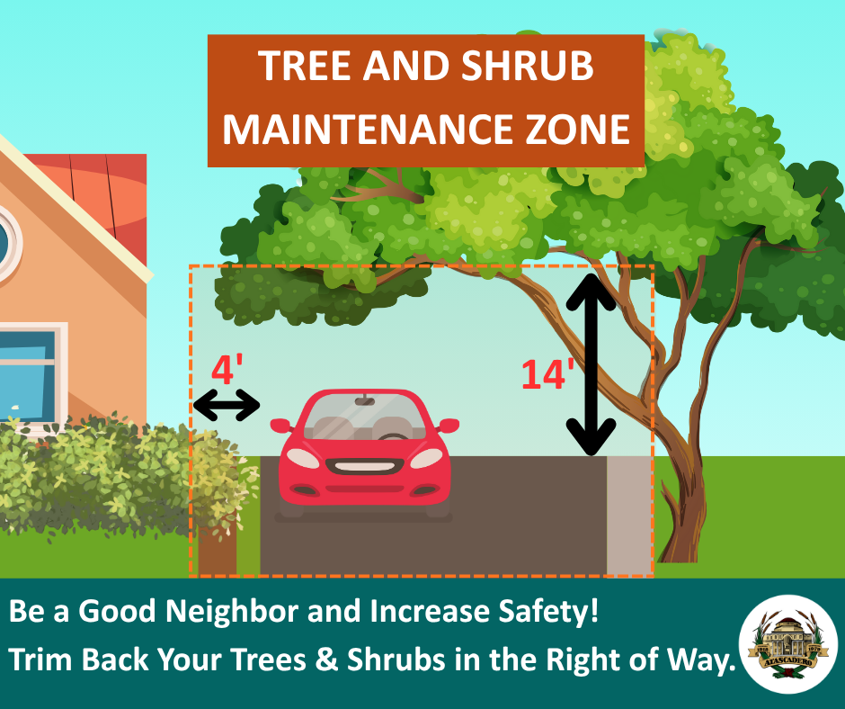 Graphic stating that property owners must keep trees and vegetation 4 feet back from street edge and 14 feet high from the street.
