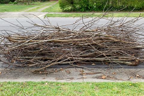 Stacked branches