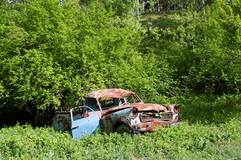 An abandoned car in the weeds