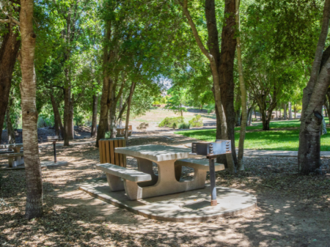 BBQ space surrounded by trees at Apple Valley Park.