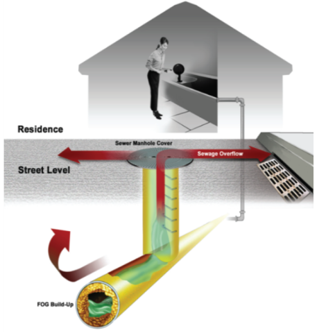 Info graphic showing how things flow for the sink to the sewer.