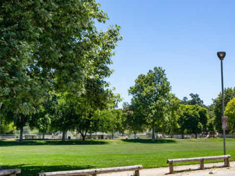 Image of open green space at Paloma Creek Park.