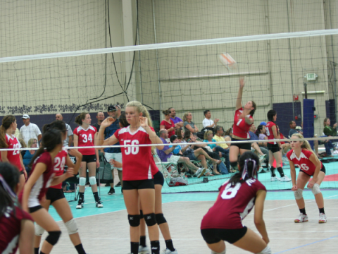 Image of girls volleyball game.