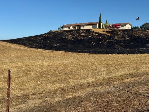 An upward view across a yellow field toward a charred landscape and a house on a hill, showing fire damage along San Carlos Road.
