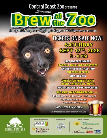 2026 Brew at the Zoo event flyer featuring a red ruffed lemur with an animated expression. The 21-and-over event will be held at the Central Coast Zoo on Saturday, September 12, 2026, from 5:00 to 8:00 PM. The flyer includes ticket pricing, entertainment, adult beverage information, and sponsor logos. Complete event details are available at visitatascadero.com/Brew-at-the-Zoo.