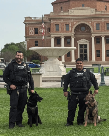 Atascadero Police Department K9 handlers stand with Pomic and Maverick, who are sitting on leashes beside them in front of the fountain at Sunken Gardens.