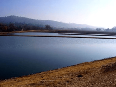 View of the Atascadero Wastewater Treatment Plant ponds in the early morning light, with low hills and trees in the distance.