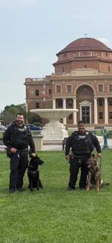 Pomic & Mav with handlers